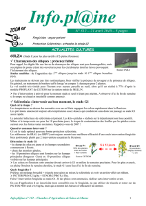 N° 312 – 21 avril 2010 – 5 pages BLE - Chambre d`agriculture Ile