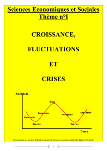 croissance, fluctuations et crises