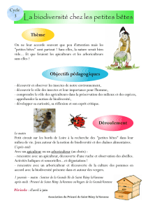La biodiversité chez les petites bêtes - Prieuré de Saint-Rémy