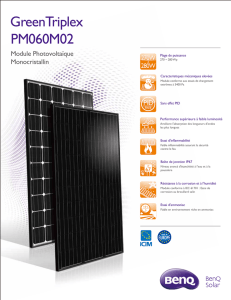 PM060M02 - AUO solar