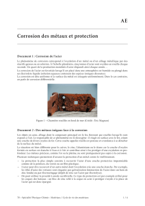 AE Corrosion des métaux et protection