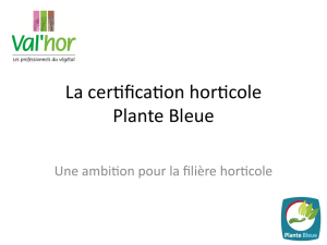 Plante bleue - FranceAgriMer