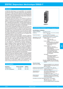 Disjoncteur électronique ESS22-T 5