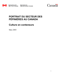 Portrait du secteur des pépinières au Canada: culture en conteneurs