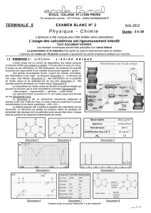 Examen Blanc N° 2