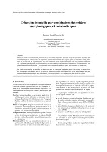 Détection de pupille par combinaison des critères morphologiques