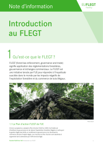 Introduction au FLEGT - EU FLEGT Facility