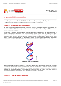Le gène, de l`ADN aux protéines - Futura