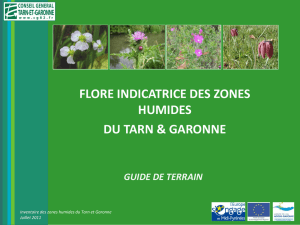 Télécharger le guide de terrain sur la flore indicatrice des zones