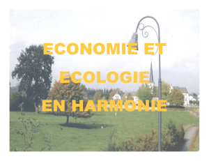 economie et ecologie en harmonie