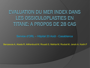 Evaluation des MER index dans les résultats des