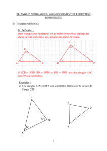 Cours Triangles semblables, Agrandissement et réduction, homthéties
