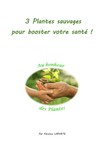 3 Plantes sauvages pour booster votre santé !