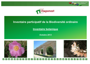 Inventaire participatif de la Biodiversité ordinaire