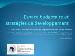 Fiscal space and development strategies Gert van der Linde, Lead