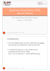 Introduction à Java dans le cadre de Nachos - REDS - HEIG-VD