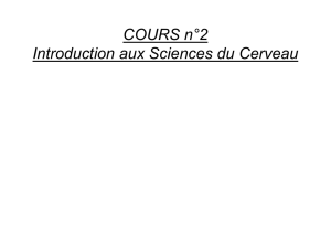 Exemples de Questions d`Examens