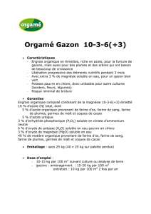 Orgamé Gazon 10-3