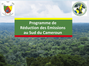 Cameroun - The Forest Carbon Partnership Facility