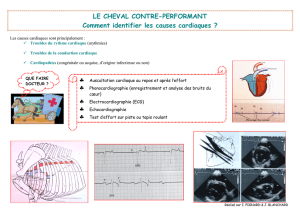 Cheval non performant les causes cardiaques