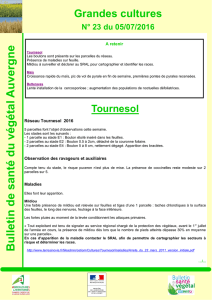 Bulletin de santé du végétal Auvergne N° 23