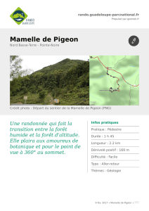 Mamelle de Pigeon - Rando Guadeloupe
