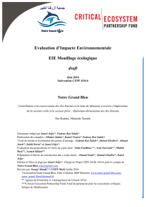 Evaluation d`Impacte Environnementale EIE Mouillage écologique