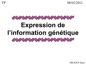 Codage et expression de l`information génétique
