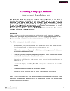 Marketing Campaign Assistant