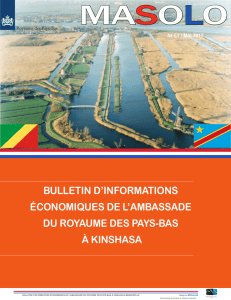 bulletin d`informations économiques de l`ambassade du royaume