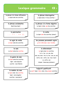 lexique grammaire ce1