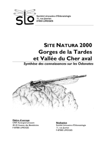 S.L.O., 2003.- Site Natura 2000. Gorges de la Tardes et Vallée du