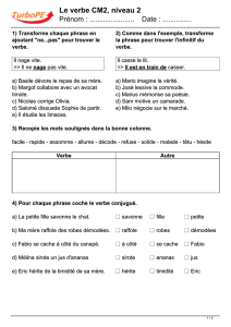 Le verbe CM2, niveau 2 - TurboPE
