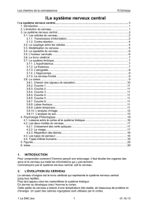 ILe système nerveux central