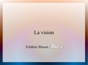 La vision » (PDF 6,8 Mo)