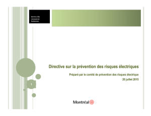 5. Directive « prévention des risques électriques