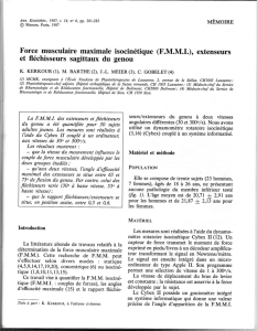 Force musculaire maximale isocinétique (F.M.M.I.), extenseurs et