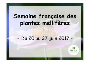 Semaine française des plantes mellifères