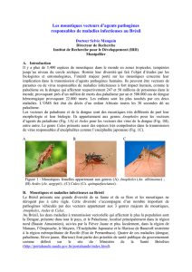 Les moustiques vecteurs d`agents pathogènes responsables de