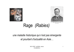 Rage (Rabies)