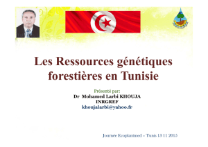 Les Ressources génétiques forestières en Tunisie