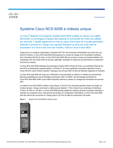 Système Cisco NCS 6008 Single