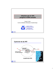 Infection par le VIH: progrès et défis actuels Cycle de vie du HIV