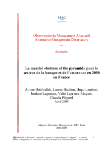 Le marché «bottom of the pyramid» pour le secteur de la banque et