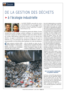 De la gestion des déchets à l`écologie industrielle