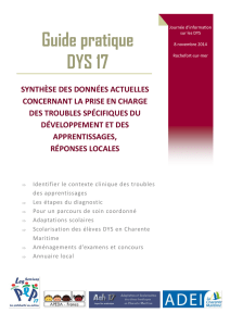 Guide pratique DYS 17