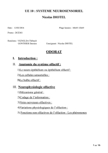 D1-UE10-Diotel-Odorat-pdf