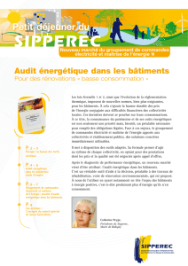 Audit énergétique dans les bâtiments