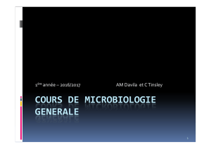 cours de microbiologie generale - Cours en Ligne