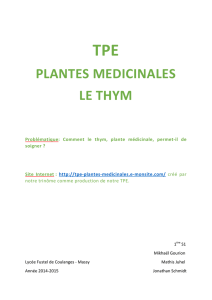 Le dossier du TPE en PDF - TPE Plantes médicinales - E